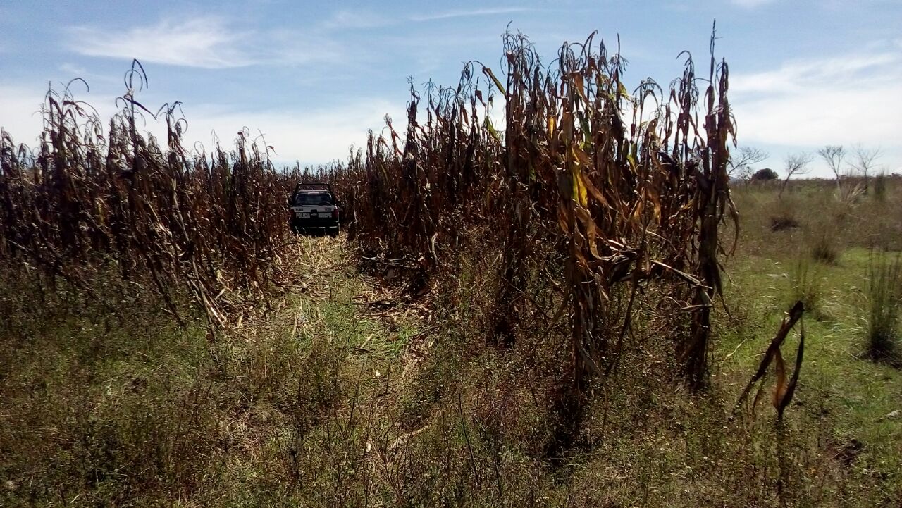 14571939_989033971224656_1664024402_o