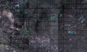 b043788b-01e7-4c30-8737-99a7f3cc59e3