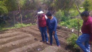 DIF ESTATAL (2)