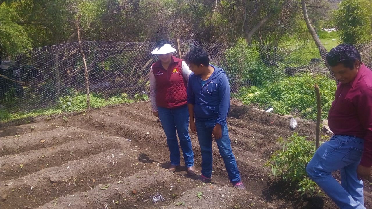 DIF ESTATAL (2)