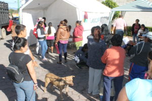 campaña (1)