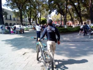 seguridad (2)