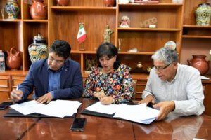 Proyectos productivos 3