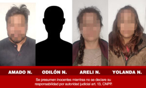 asegurados