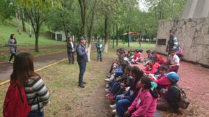 reforestación (1)