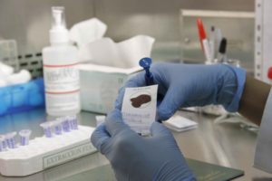 170328_PGJE_PERICIALES_32