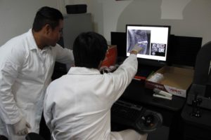 170328_PGJE_PERICIALES_15 (1)