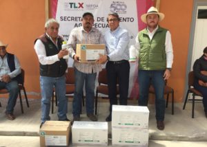 271019_SEFOA_2