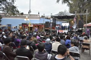 Festival 3