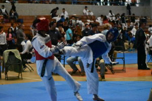 Idet (3)