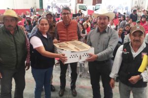 241119_SEFOA_1