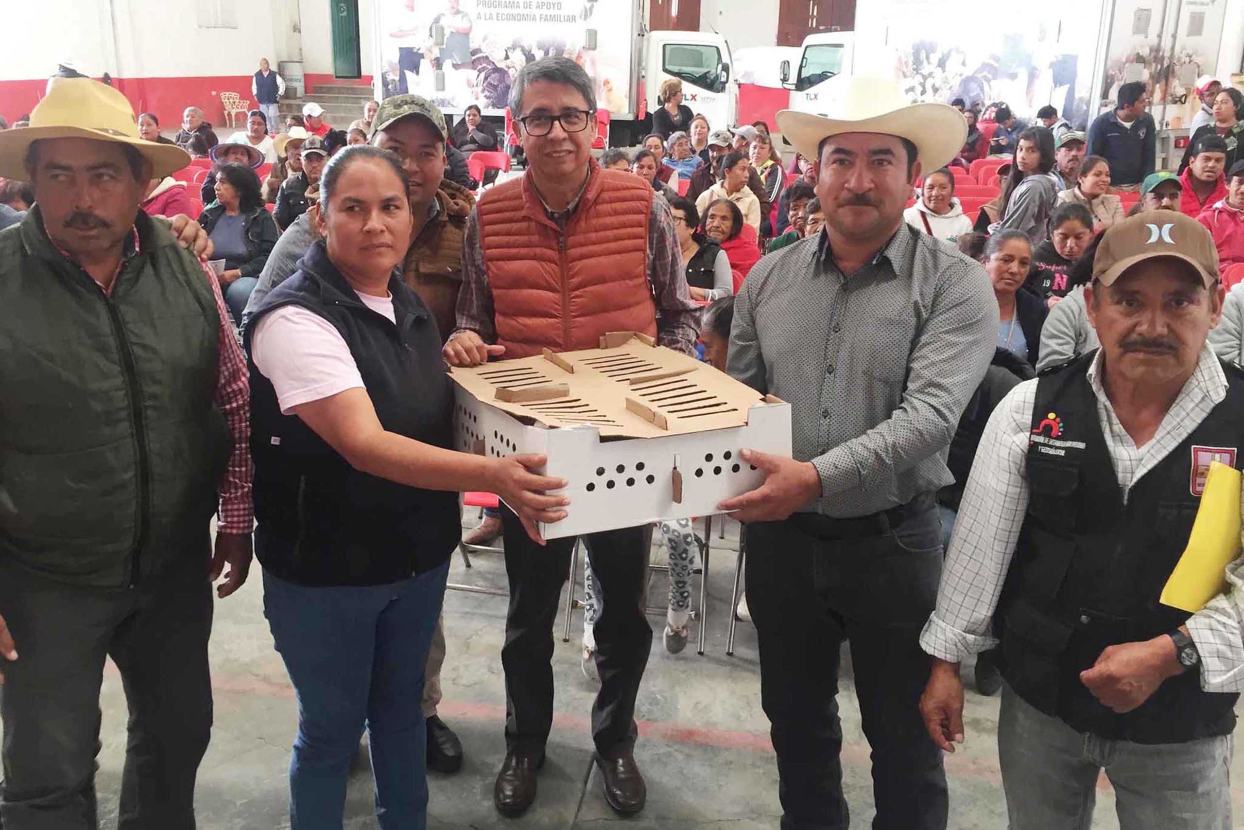 241119_SEFOA_1