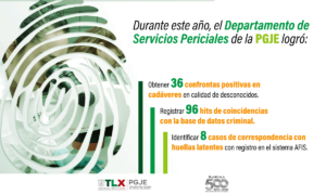 3informeserviciospericiales