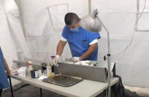 Refuerzan campaña 3