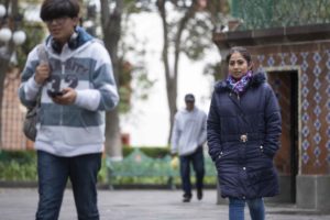 sesa (29)