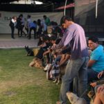ESTERILIZACIONES ENERO (1)