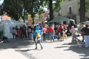 IMG_20200208_164444