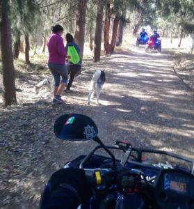 Seguridad La Ocotera (1)