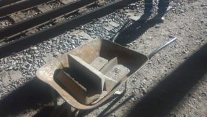 TREN1