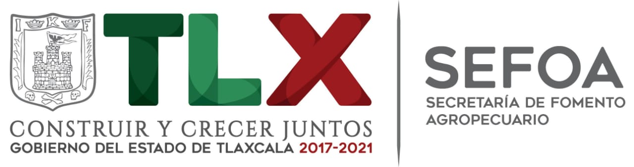 21032020_BOLETÍN_SEFOA