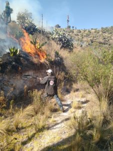 INCENDIO