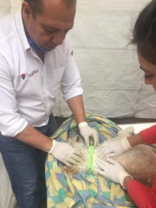 Inician en la capital programa para identificar caninos esterilizados 1
