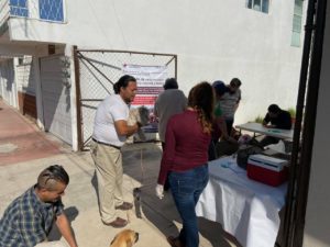 Reactivarán Jornada de vacunación antirrábica canina y felina 2 (1)