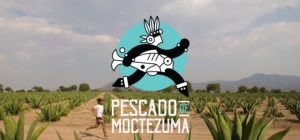 pescado de Moctezuma