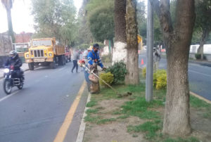 SERVICIOS PÚBLICOS REPORTES_3