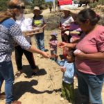 Apoyos Pilares2 - copia