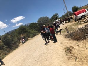 Apoyos Pilares4 - copia