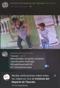 Día del Desafío 2020 (5)