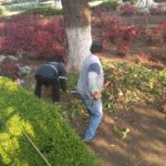 SERVICIOS PÚBLICOS 15-05-2020_5