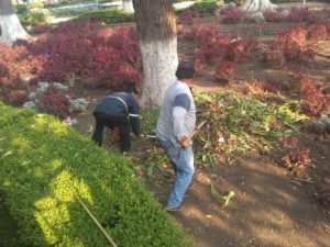 SERVICIOS PÚBLICOS 15-05-2020_5
