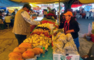TIANGUIS ACUITLAPILCO_1