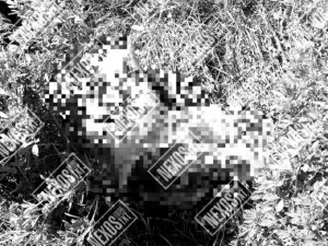 WhatsApp Image 2020-05-26 at 12.03.21