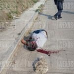 WhatsApp Image 2020-05-30 at 09.33.53
