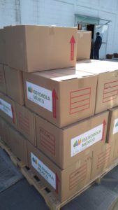 30062020_BOLETÍN_SESA_02