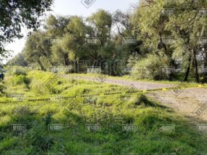 IMG-20200617-WA0042