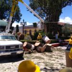 poda arboles tlaxco (12)