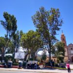 poda arboles tlaxco (2)
