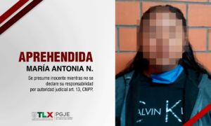 aprehendida
