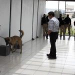 canina (1)
