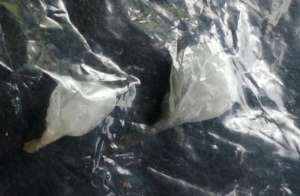 dro1