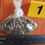 puesta2 14jul
