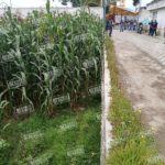 Photo_1599414419882