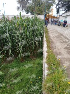 Photo_1599414419882