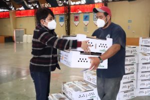 entrega de aves4