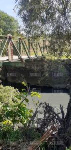 Photo_1603485981124
