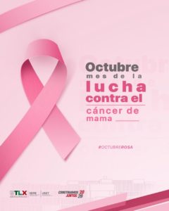 Sepe_Campaña1